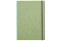 Clairefontaine Basic Clothbound A4 Notebook - Green, Lined