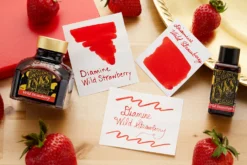 Diamine Wild Strawberry - 30ml Bottled Ink -Office Supplies Shop Diamine Ink WildStrawberry 4