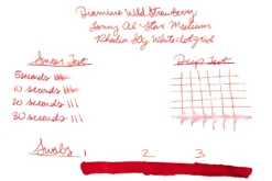 Diamine Wild Strawberry - 30ml Bottled Ink -Office Supplies Shop Diamine InkReview WildStrawberry Rhodia 80g 1 0fd7571b 3130 4ba2 b8ed b8157a8dd95d