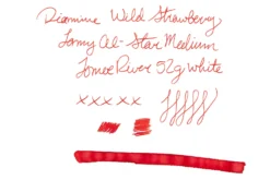 Diamine Wild Strawberry - 30ml Bottled Ink -Office Supplies Shop Diamine InkReview WildStrawberry TomoeRiver 52g 1 d96b606b 6595 4ae8 a1de 4adb00879f64