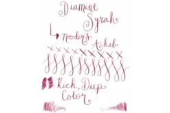 Diamine Syrah - 80ml Bottled Ink -Office Supplies Shop Diamine Syrah 201 20copy 147d4a50 1de8 418b 9463 e72768651454