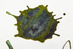 Ferris Wheel Press Poison Envy - 20ml Bottled Ink -Office Supplies Shop FerrisWheelPress PoisonEnvy 4