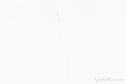 Goulet Notebook W/ 68gsm Tomoe River Paper - Pocket, Dot Grid -Office Supplies Shop GPC TomoeRiverNotebooks Passport DarkBrown DotGrid 5 1