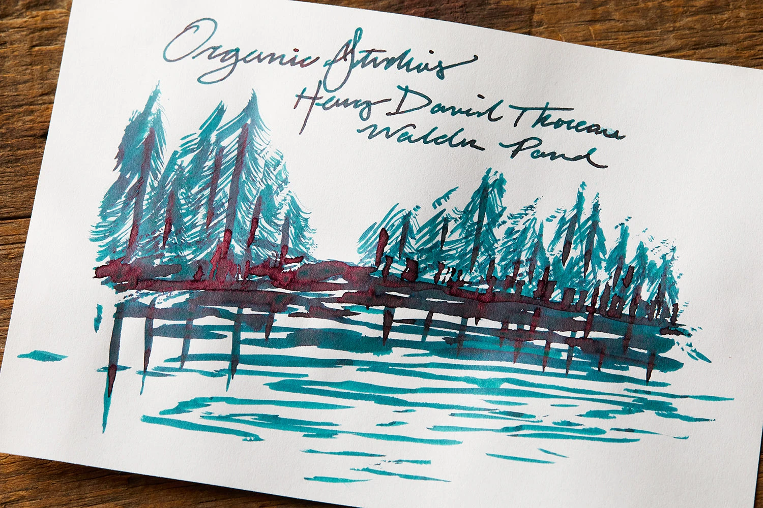 Organics Studio Henry David Thoreau Walden Pond - 55ml Bottled Ink 5 Organics Studio Henry David Thoreau Walden Pond - 55ml Bottled Ink - Image 5