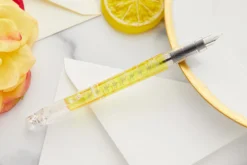 Platinum Preppy Wa Fountain Pen - Urokomon (Limited Edition)