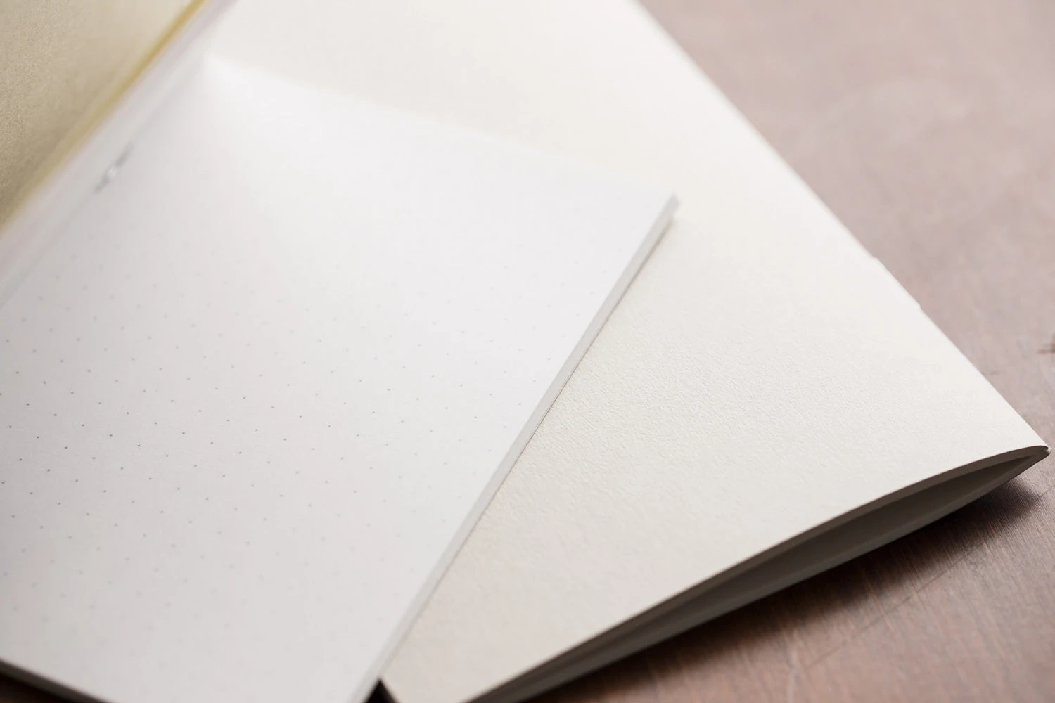 Traveler's Notebook Passport Refill 014 - Dot Grid 3 Traveler's Notebook Passport Refill 014 - Dot Grid - Image 3