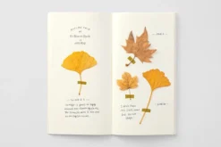 Traveler's Notebook Regular Refill 025 - Blank, Cream Paper -Office Supplies Shop TN Regular 025 stock2